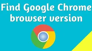 How to check Google Chrome browser version ?