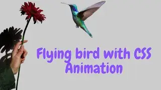 Flying bird with CSS Animation | HTML CSS Project