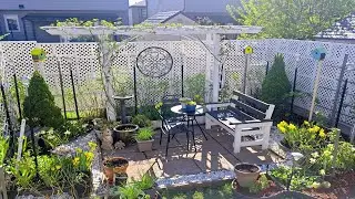 VISIT OUR TINY BACKYARD | SPRING GARDEN TOUR #garden #gardening #plants #flowers #spring #landscape