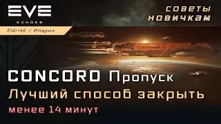 EVE Echoes - CONCORD Пропуск | лучший способ | менее 14 минут