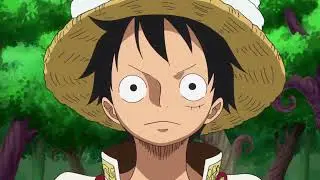 i mean he DOES have a point | One Piece