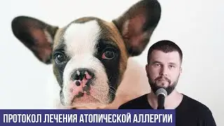 Протокол лечения неизлечимой атопической аллергии