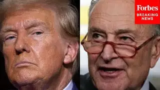 'The Most Unhinged Collection Of Policies In Modern History': Chuck Schumer Torches Project 2025