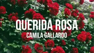 Querida rosa -  Camila Gallardo letra