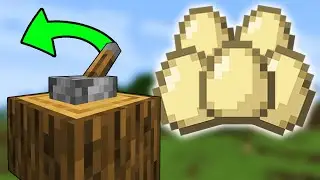 FASTEST Egg Farming Method in Minecraft?