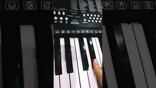 Toca toca piano