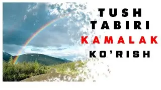 Tushda Kamalak Ko'rish Tabiri