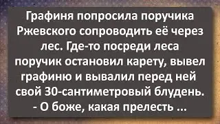 Поручик Ржевский Раскукожил в Лесу Графиню Ланскую! Сборник Самых Свежих Анекдотов!