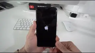 How to Force Turn OFF/Restart iPhone 11 Pro Max - Frozen Screen Fix