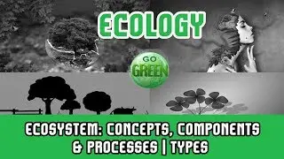 8. Ecology| Ecosystem: Concepts, Components & Processes|Types of Ecosystem|Open System|Closed System