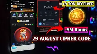 Hamster Kombat Daily Cipher Code 29 August | Hamster Kombat Daily Combo 29 August|Daily Cipher Today