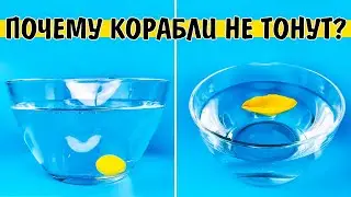 Почему корабль не тонет в воде? Опыт с плотностью 
