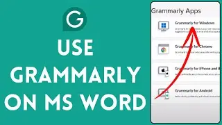 How to Use Grammarly on Microsoft Word 2024? Grammarly Use on MS Word