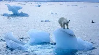 Heat wave melts Arctic ice, heralds summertime apocalypse HD