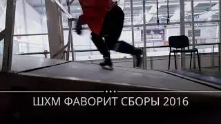 Летние хоккейные сборы ШХМ 