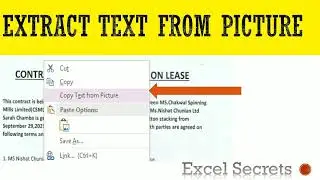 Extract Text from Picture || How to extract text from image || Excel Secrets