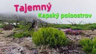 Jihoafrická republika: neskutečný Kapský poloostrov! [2021]