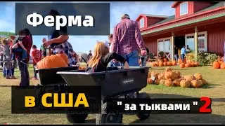 Ферма в США | За тыквами перед Halloween - Штат Iowa USA