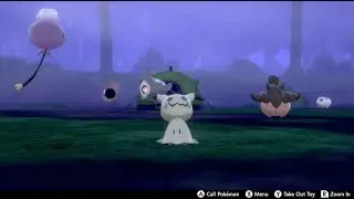 Camping With Cute Ghost Pokemon For Over An Hour - Pokemon Sword & Shield (Halloween Special)