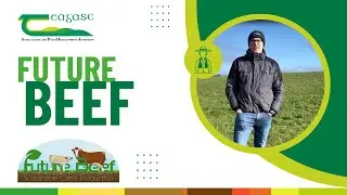 Future Beef: Silage Planning (Cathal Irwin)