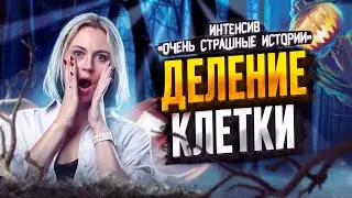 Деление клетки | Ксения Напольская