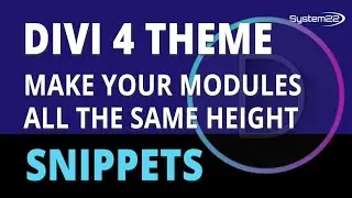 Divi Theme How To Make Your Modules The Same Height 👍