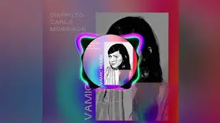 Disfruto - Carla Morrison (VAMIC REMIX)