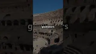 Colosseum Rome Italy