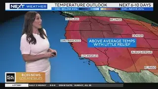 Amber Lees Morning Weather (July 29)