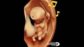 Drumming baby | #earlypregnancy #4dultrasound baby at 11 weeks