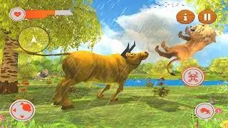 Bull Game Buffalo Simulator VS Lion, Bear, Wolf