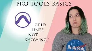 Pro Tools Basics: Grid Lines Not Showing? (plus, more grid tips)