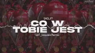 Skolim - Co w Tobie jest (WiT_kowski Remix)