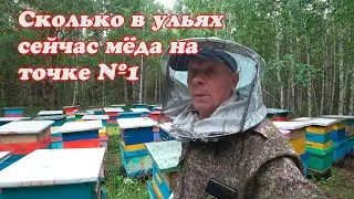 ЧТО СЕЙЧАС В УЛЬЯХ ПО МЁДУ НА МОИХ ТОЧКАХ, ПОЕХАЛ НА ТОЧЁК №1, О ПОТРАВЕ ТОЧКА №2