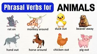 Vocabulary: Phrasal Verbs For ANIMALS, Definitions,Example Sentences, Phrasal Verb Listen Practice