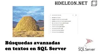 Búsquedas avanzadas en textos en SQL Server | fulltext index, contains, freetext