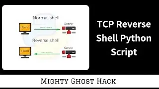 What is Reverse Shell ? | Reverse 