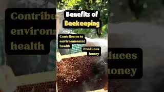 HOBBY BENEFITS of Beekeeping 🐝 