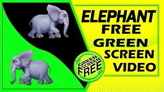 elephant green screen video | animal green screen | cartoon elephant green screen