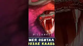 Исламский видео #иман #ислам #сунна