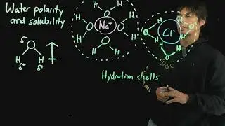 Topic 2.5 - Hydration shells and water solubility