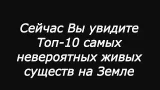 Топ-10 самых не объяснимых существ на земле