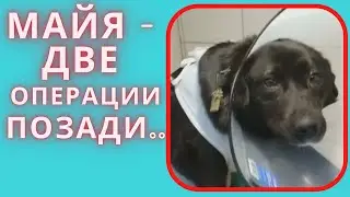 Две операции подряд  Неужели, будет ещё одна?!