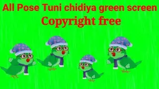 tuni chidiya green screen copyright free । tuni chidiya green screen no copyright