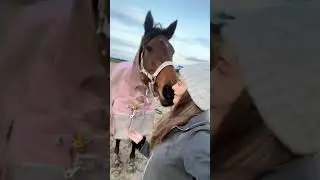 Love between man and horse