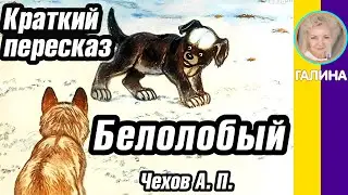 Краткое содержание Белолобый. Чехов А. П. Пересказ рассказа за 3 минуты