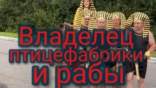 Полицейские задержали толпу закавказцев / Владелец птицефабрики  и его рабы