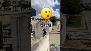 НИКОГДА НЕ ТРОГАЙ ЭТОГО ПАУКА, ЕСЛИ УВИДИШЬ ЕГО 🕷️❌