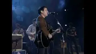 Paul Simon - The Boxer (Live at Farm Aid 1992)