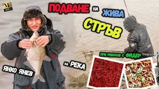 Подаване на жива стръв - Feeder Fishing